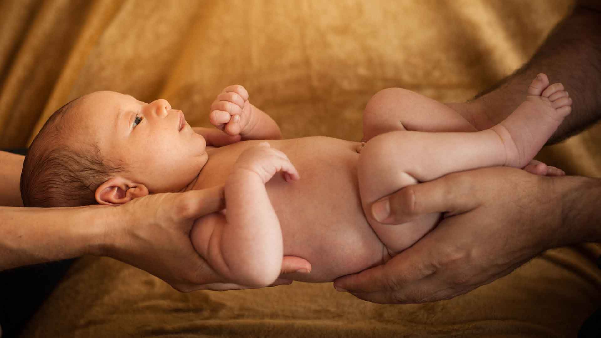 psicoanima_masquefa_espai_nado_Aran_1