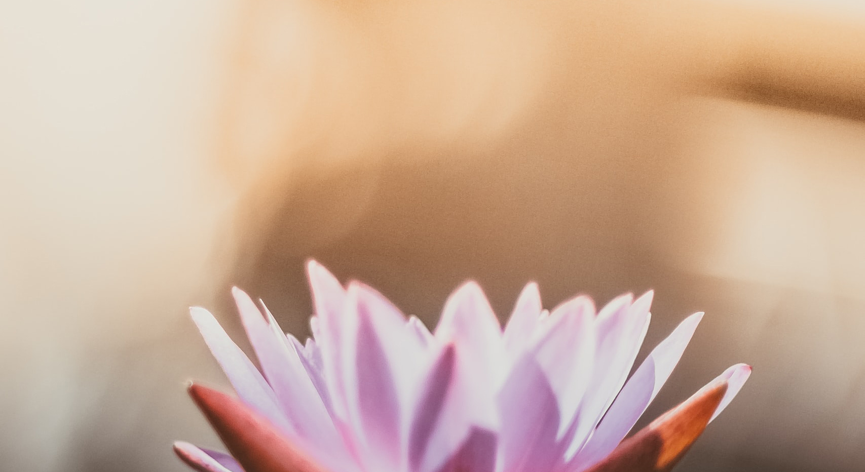 Psicoterapia PsicoÀnima Masquefa